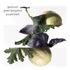 Hermès LES COLOGNES-Eau De Basilic Pourpre - Eau De Cologne - Rechargeable-HERMÈS -Parfumerie - jouez-y ! Eau de Basilic Pourpre Eau de cologne rechargeable 102367145 2