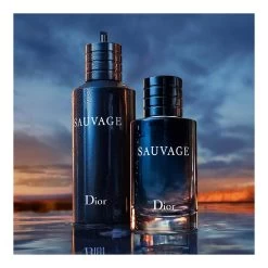 SAUVAGE-Eau De Toilette-DIOR 7 SAUVAGE-Eau De Toilette-DIOR -Parfumerie - jouez-y ! Eau de Toilette 100721112 3