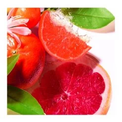 JEAN MARIE FARINA-Eau De Cologne-Roger & Gallet -Parfumerie - jouez-y ! Eau de cologne 102502159 2