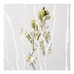 MUTINY-Eau De Parfum-MAISON MARGIELA -Parfumerie - jouez-y ! Eau de parfum 101541121 2