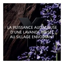 Y-Le Parfum - Eau De Parfum - Vaporisateur-Yves Saint Laurent 6 Y-Le Parfum - Eau De Parfum - Vaporisateur-Yves Saint Laurent -Parfumerie - jouez-y ! Eau de parfum 102033364 2