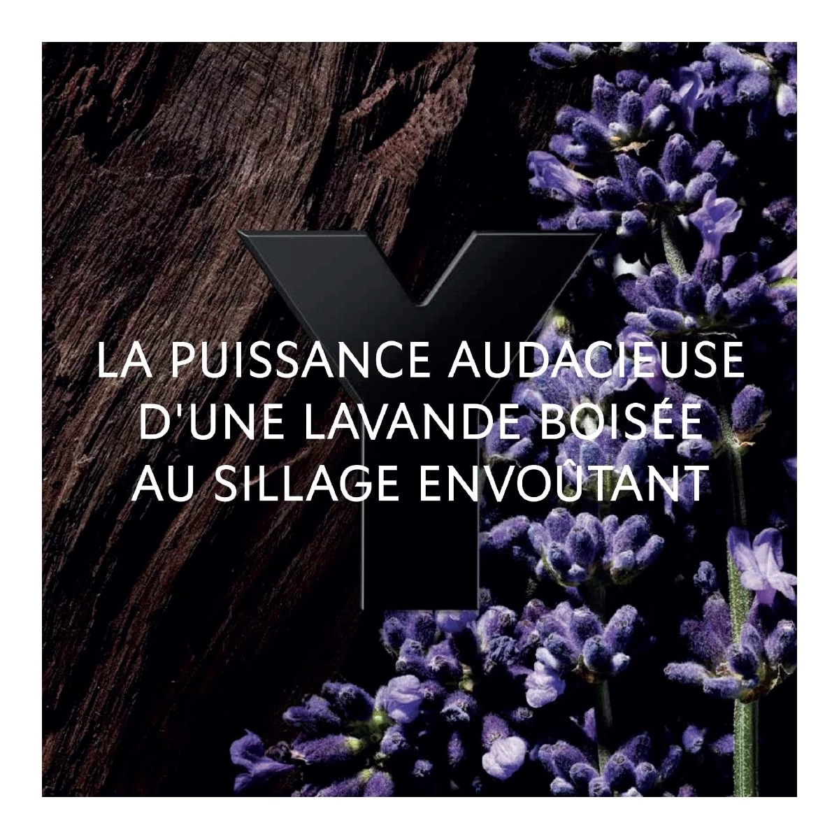 Y-Le Parfum - Eau De Parfum - Vaporisateur-Yves Saint Laurent 3 Y-Le Parfum - Eau De Parfum - Vaporisateur-Yves Saint Laurent – Image 3