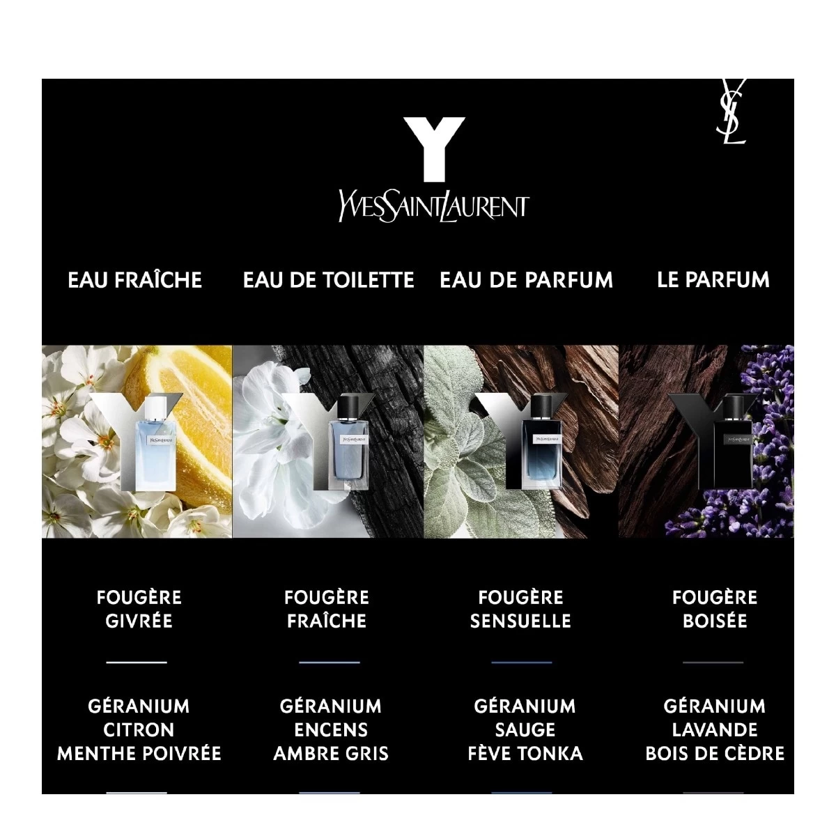 Y-Le Parfum - Eau De Parfum - Vaporisateur-Yves Saint Laurent 4 Y-Le Parfum - Eau De Parfum - Vaporisateur-Yves Saint Laurent – Image 4