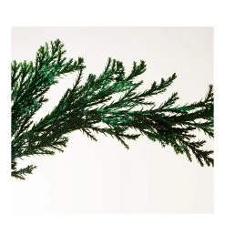 PARCO PALLADIANO-Eau De Parfum "Parco Palladiano II - Cipresso"-BOTTEGA VENETA -Parfumerie - jouez-y ! Eau de parfum Parco Palladiano II Cipresso 101721229 2