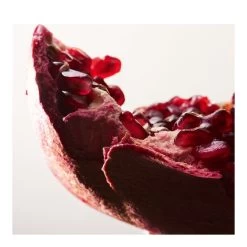 Parco Palladiano XIV - Melagrana-Eau De Parfum "Parco Palladiano XIV - Melagrana"-BOTTEGA VENETA -Parfumerie - jouez-y ! Eau de parfum Parco Palladiano XIV Melagrana 101721202 2