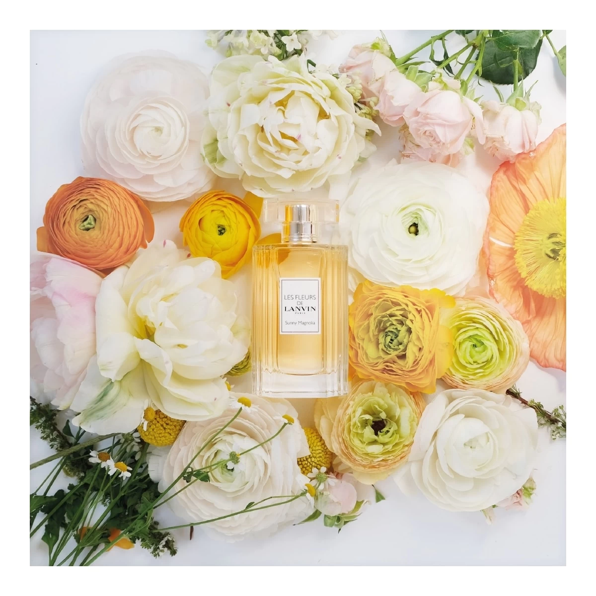 LES FLEURS DE LANVIN - SUNNY MAGNOLIA-Eau De Toilette-Lanvin 3 LES FLEURS DE LANVIN - SUNNY MAGNOLIA-Eau De Toilette-Lanvin – Image 3