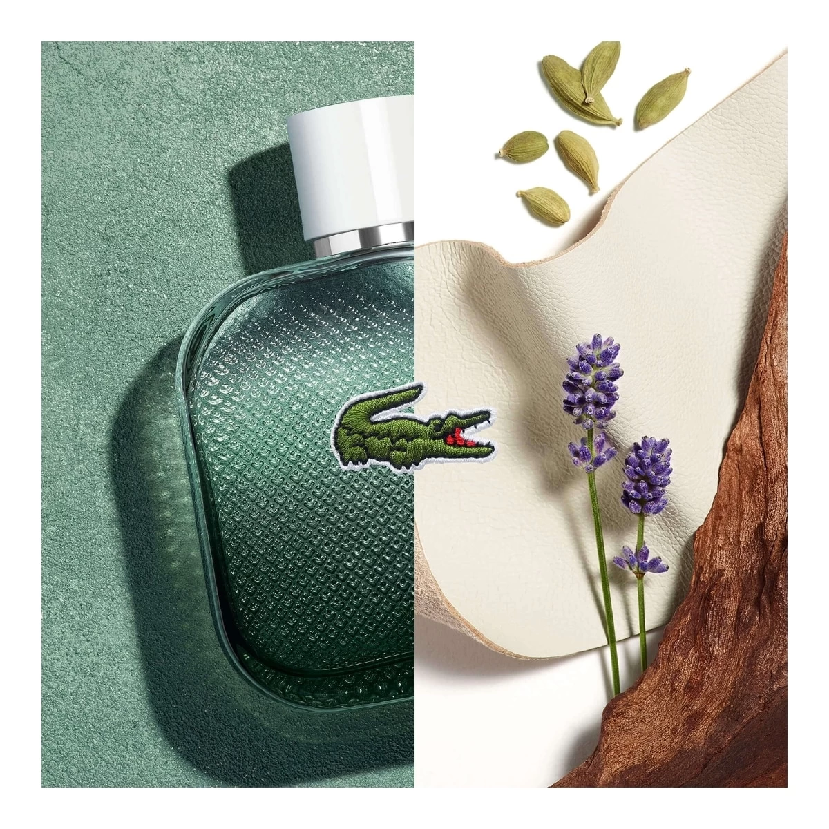 L.12.12 BLANC-Eau De Toilette Intense-Lacoste 4 L.12.12 BLANC-Eau De Toilette Intense-Lacoste – Image 4