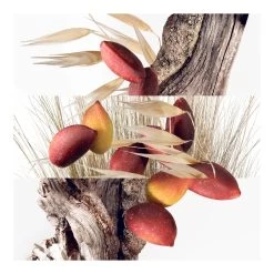 Hermès LES PARFUMS-JARDINS-Jardin à Cythère Eau De Toilette - Recharge-HERMÈS 6 Hermès LES PARFUMS-JARDINS-Jardin à Cythère Eau De Toilette - Recharge-HERMÈS -Parfumerie - jouez-y ! Eau de toilette recharge 102506125 2