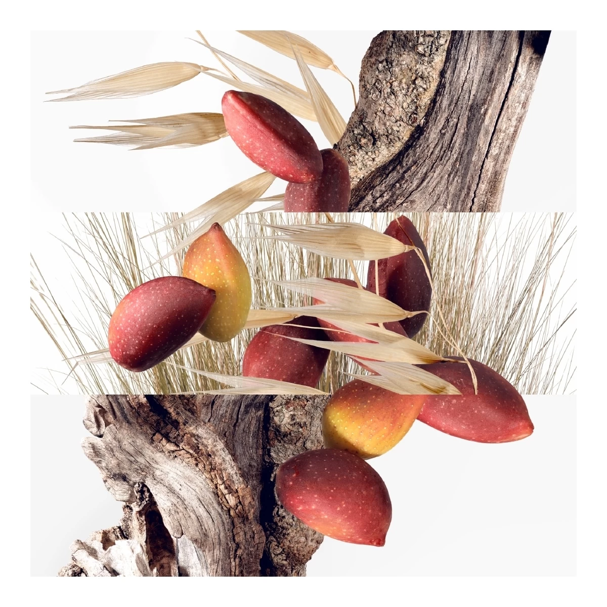 Hermès LES PARFUMS-JARDINS-Jardin à Cythère Eau De Toilette - Recharge-HERMÈS 3 Hermès LES PARFUMS-JARDINS-Jardin à Cythère Eau De Toilette - Recharge-HERMÈS – Image 3