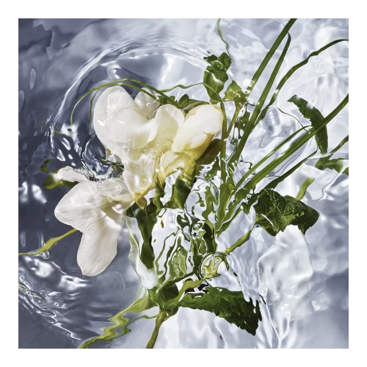 AQUA ALLEGORIA-Herba Fresca - Recharge-Guerlain 2 AQUA ALLEGORIA-Herba Fresca - Recharge-Guerlain – Image 2