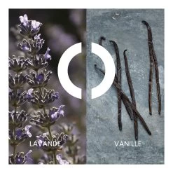 POUR UN HOMME-Lotion Après Rasage-Caron -Parfumerie - jouez-y ! Lotion Apres Rasage 100004575 2