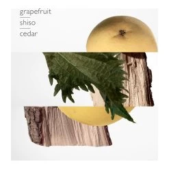 Hermès TERRE D'HERMÈS-Parfum-HERMÈS -Parfumerie - jouez-y ! Parfum 102158319 3